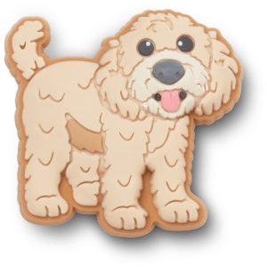 Golden Doodle Puppy