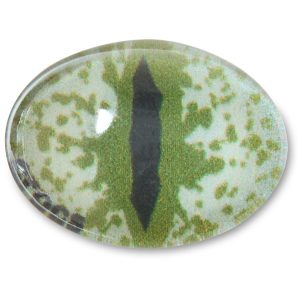 Gray Animal Eye