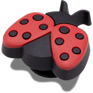 Lil Ladybug