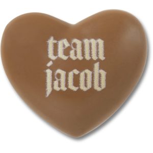 The Twilight Saga Team Jacob